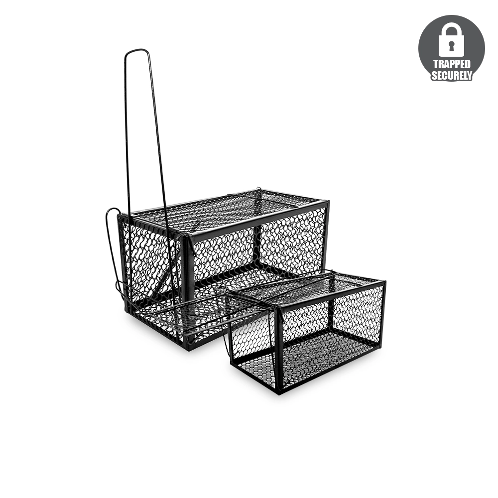DY-8944-5-Product-Thumbnail-Template
