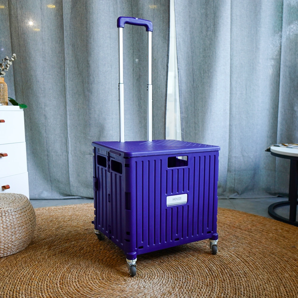 purple2